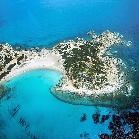 In With Pool Daire *