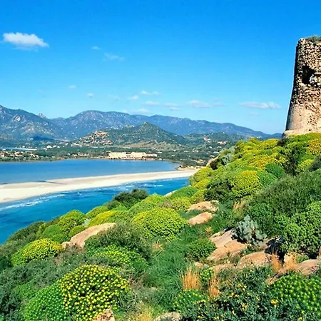 公寓 In With Pool 维拉西米乌斯